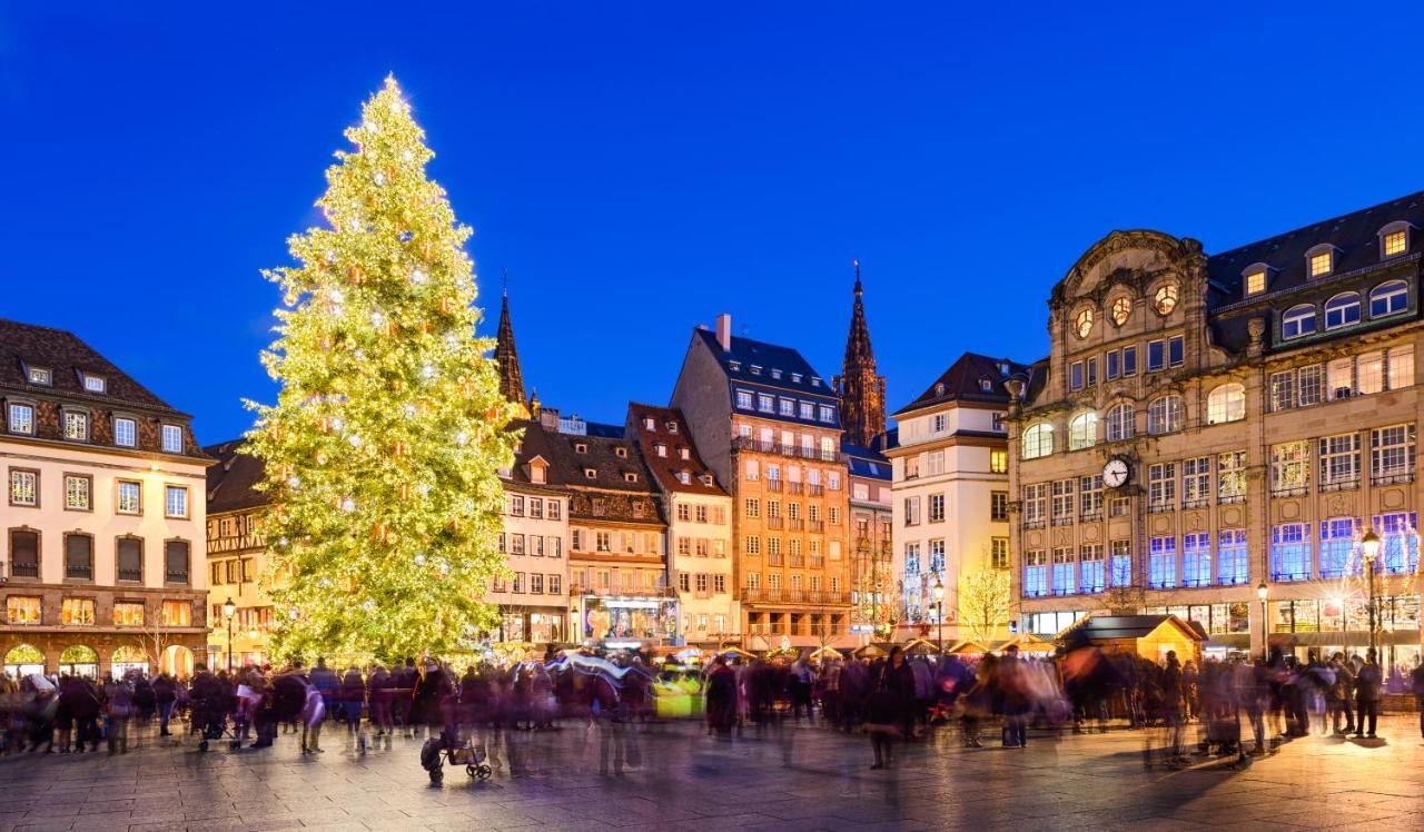 Strasbourg Appart Cosy Hyper Centre Kültér fotó